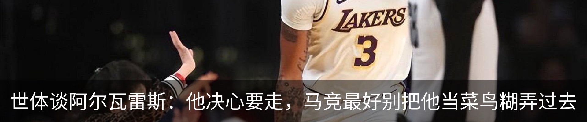 新闻动态