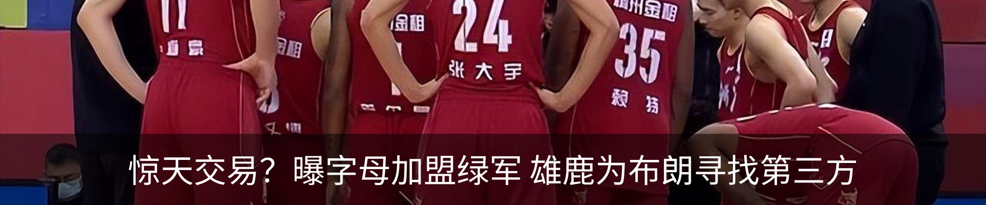 新闻动态