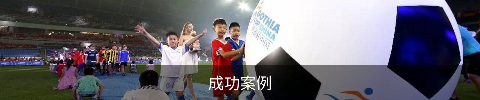 成功案例
