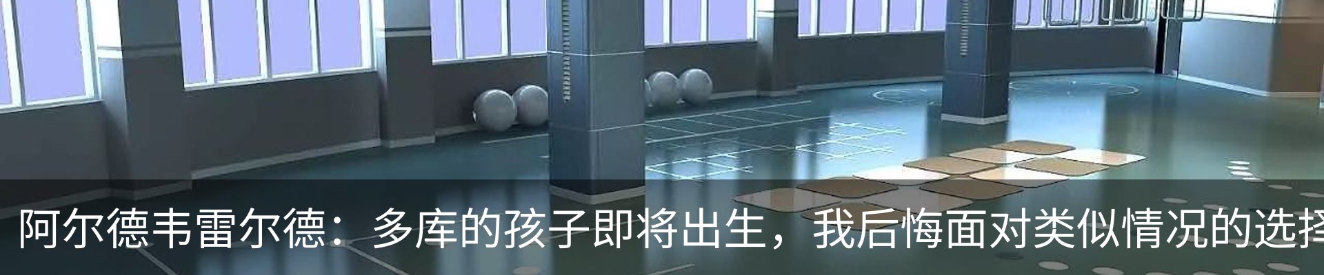 新闻动态
